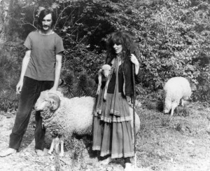 Hippy Sheep