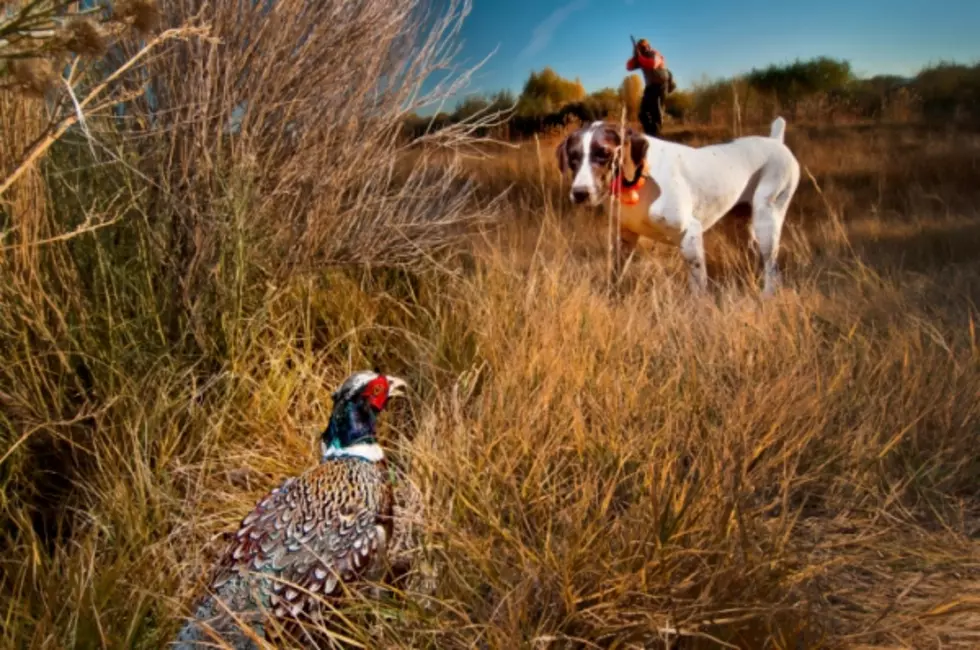 Missoula Pheasants Forever Banquet Coming Soon