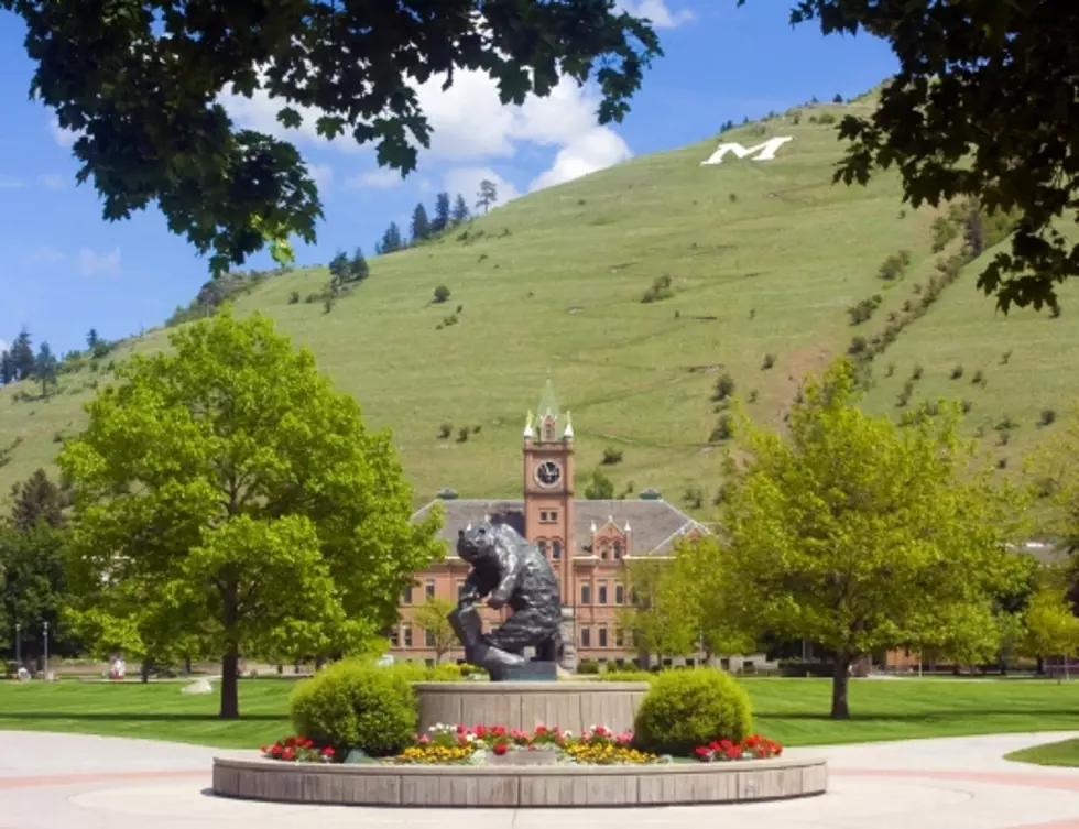 University of Montana Homecoming Highlights