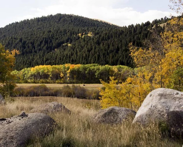 Photo courtesy of facebook.com/MontanaNaturalHistoryCenter
