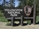 Yellowstone National Park.Wyoming.USA