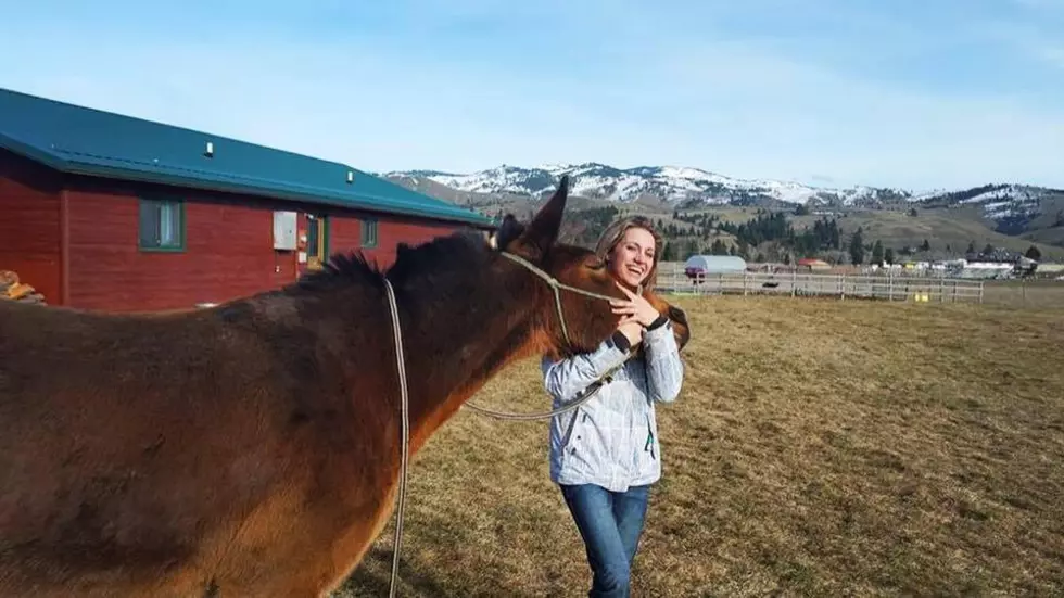 Montana Rodeo Royalty Meet and Greet Tonight!