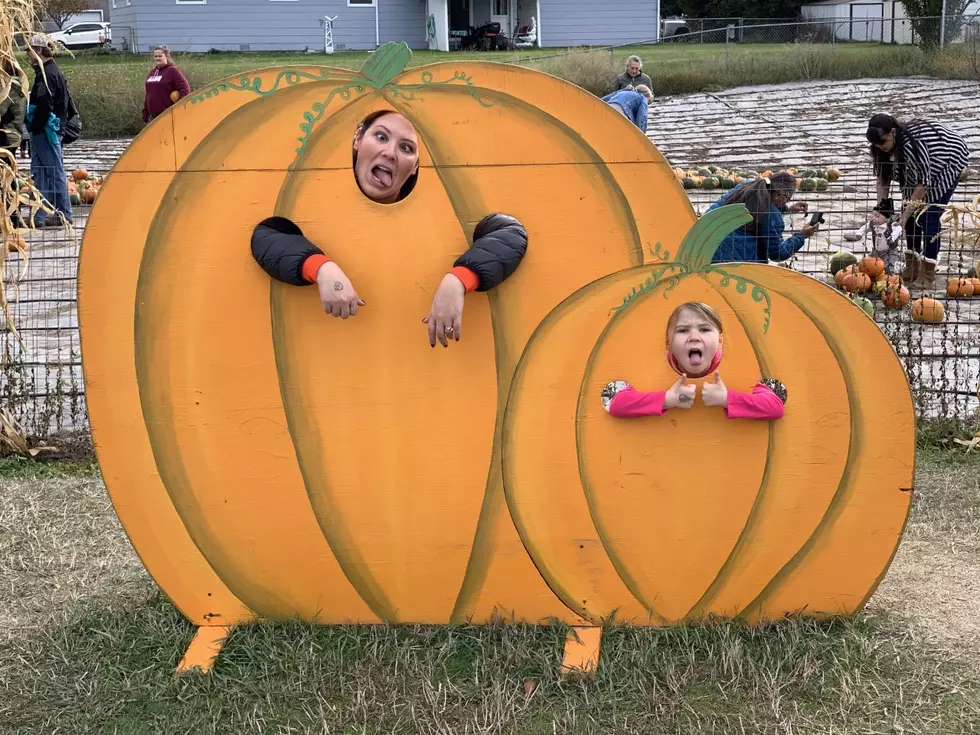 How Do You Make a Pumpkin Last Longer in the Montana Weather?