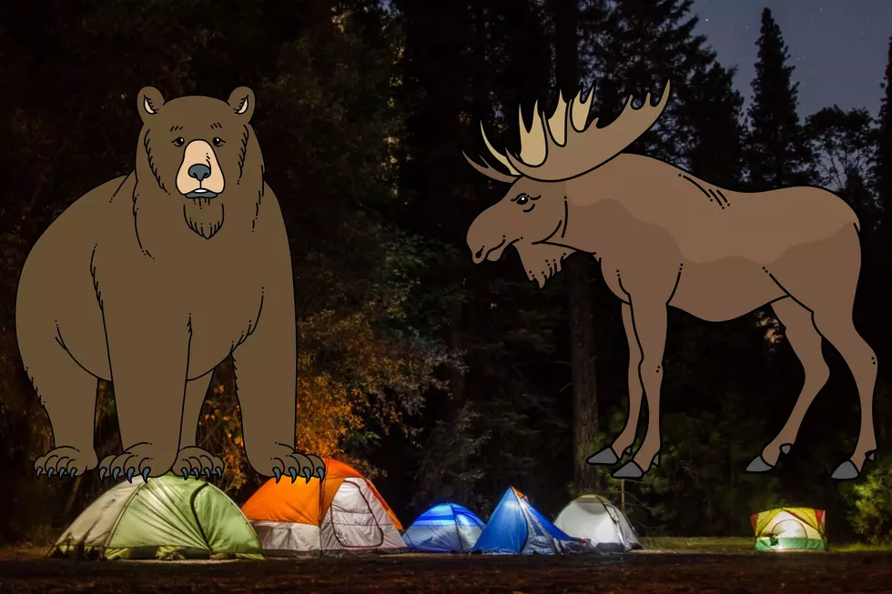 This Is The Most Montana Video You’ll Watch