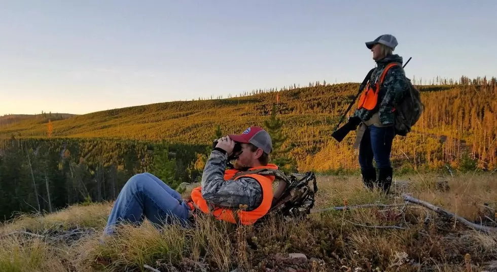 Meeting-Free Montana Hunting Regulations Input Needed by FWP