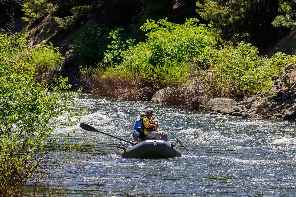 Montana Is Pretty ‘Fishy’ – In A Good Way