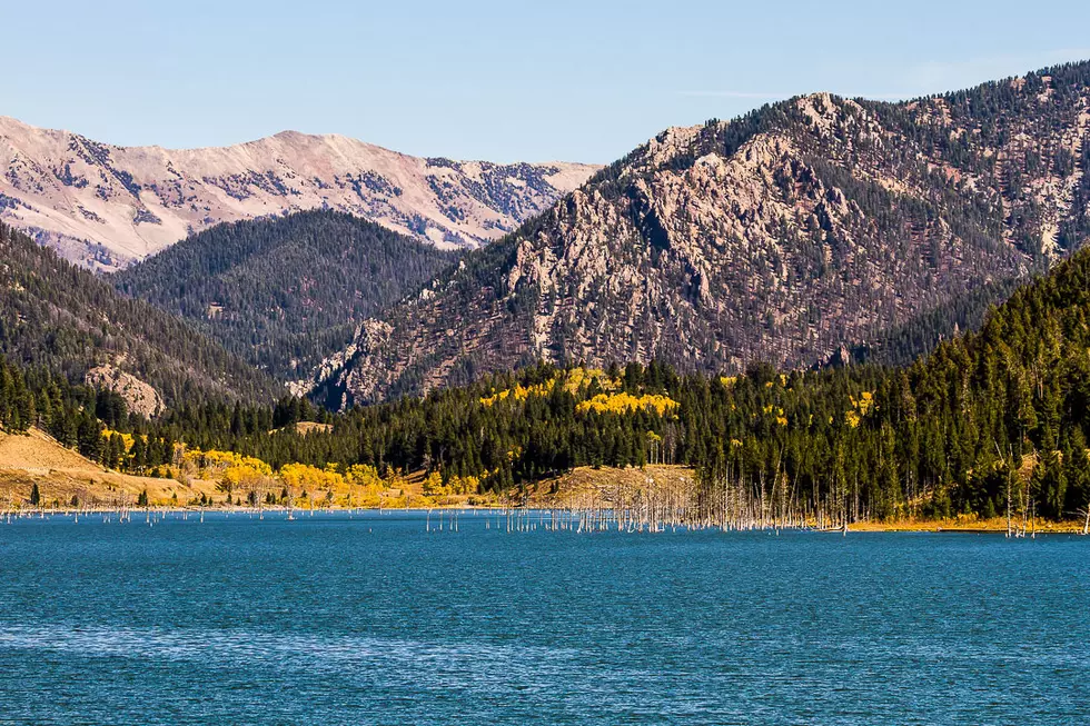 1,000 Yellowstone Earthquakes In July