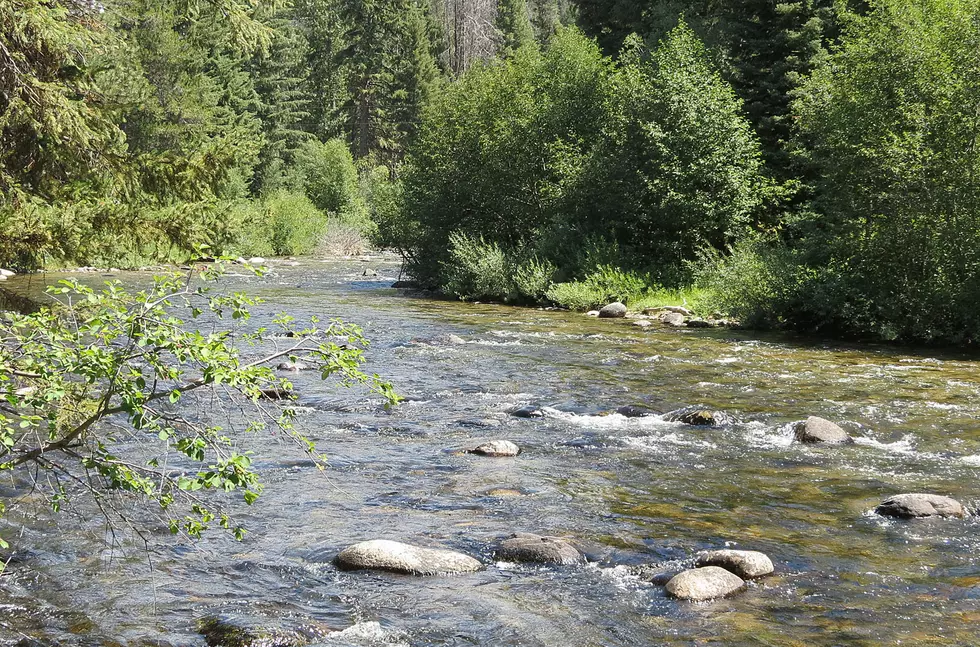 Water Pollution Problems in Bitterroot
