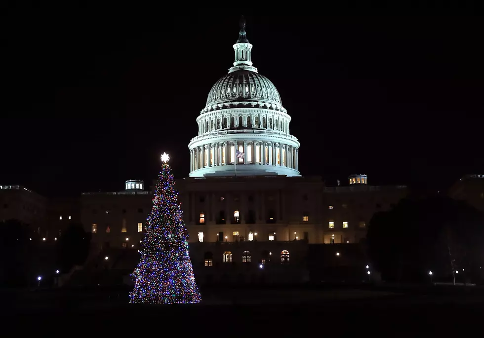 Famous Christmas Trees: How Many Montana Trees Have Made The Cut?