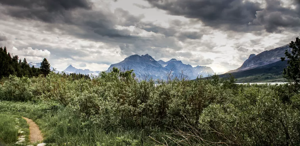 Do You Know This Beloved Montana Icon And His Amazing Journey?